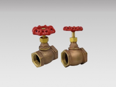 Globe Valve