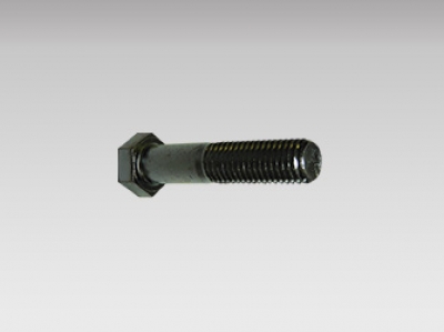 Hex Bolts